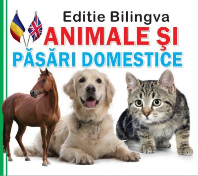 Animale si pasari domestice. Editie bilingva | Cărți despre păsări