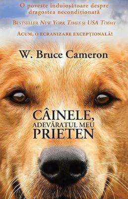 Cainele, adevaratul meu prieten | Cărți despre câini - cele mai frumoase cărți pentru iubitorii de câini