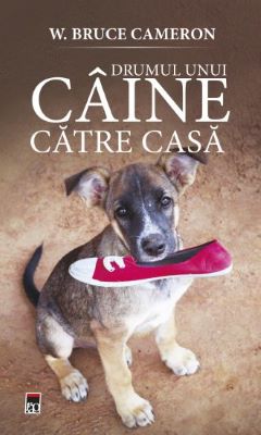 Drumul unui caine catre casa | Cărți despre câini - cele mai frumoase cărți pentru iubitorii de câini