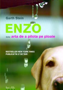 image-2009-02-5-5392116-46-enzo-sau-arta-pilota-ploaie-garth-stein