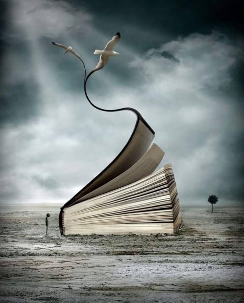 10600506_565951586886811_4126232083411032872_n