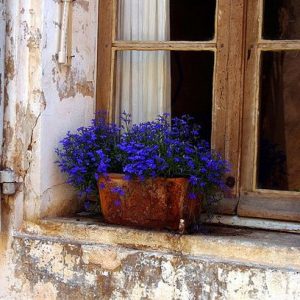 2c9bed944f0d780dfff1d6ad35445a79