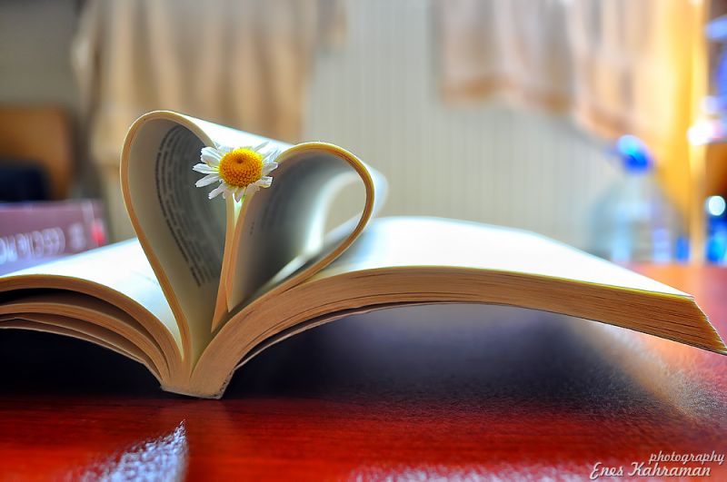 Cum a ajuns romantismul literar un siropism banal