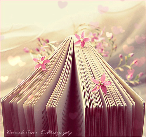 Literatura de azi- redundanța vacuității