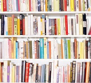 A shelf filled with books