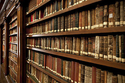 Literatura de azi- androginizarea stilului literar