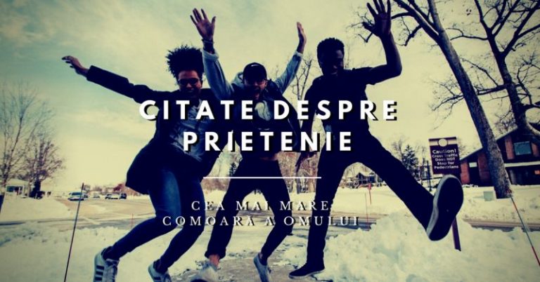 272 Citate despre prietenie – cea mai mare comoară a omului