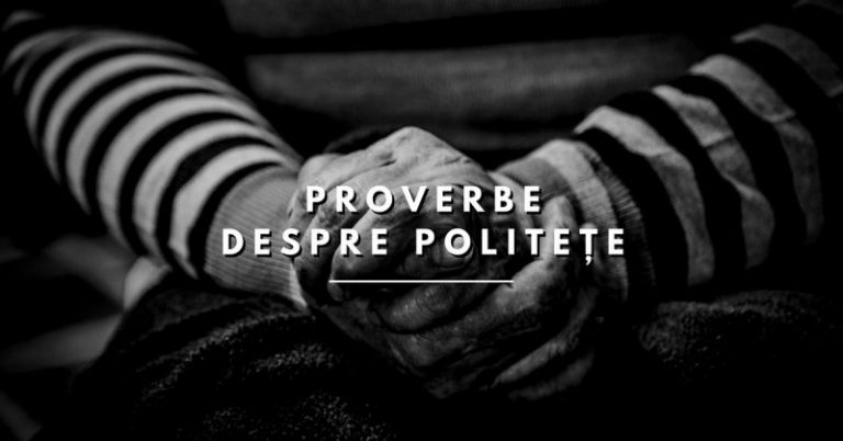 140 Proverbe despre Politețe