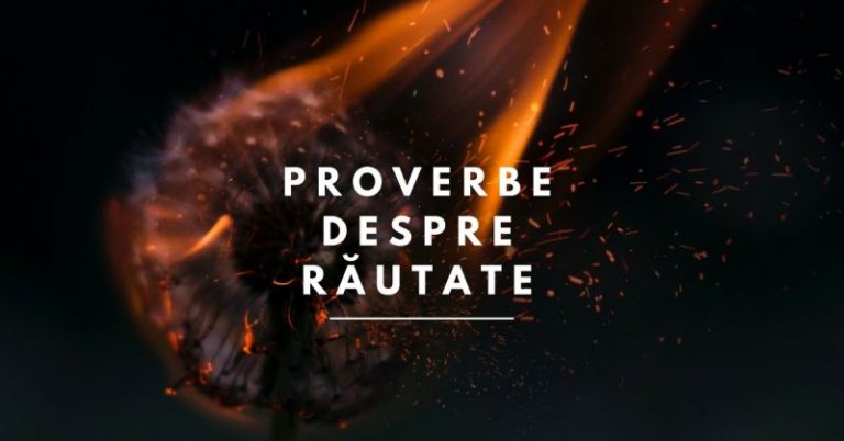 50 Proverbe despre Răutate