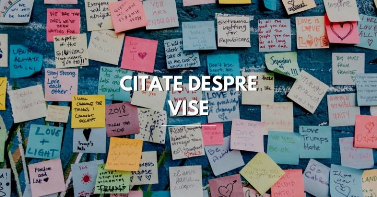 Citate despre Vise