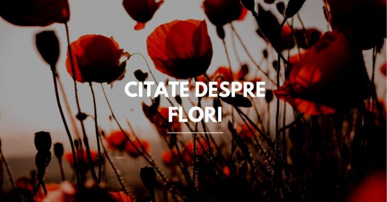 100 de citate inspiraționale despre flori: iubire, speranță și primăvară