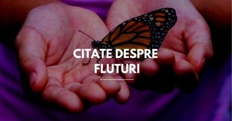 46 de citate despre fluturi: libertate, iubire și renaștere