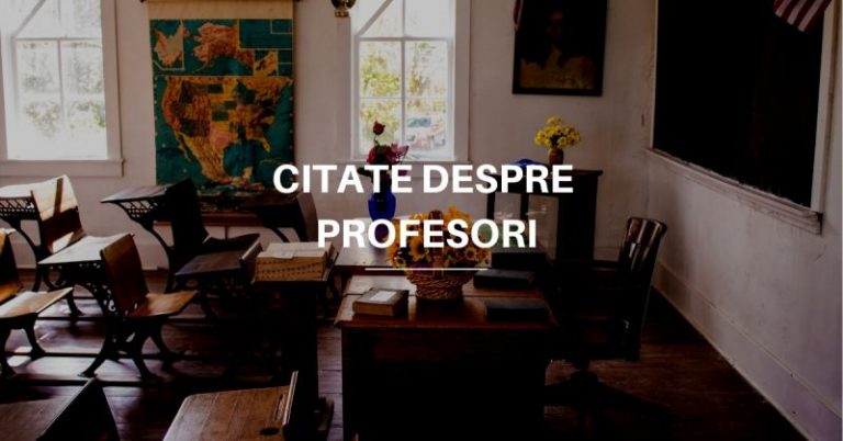 Citate despre Profesori