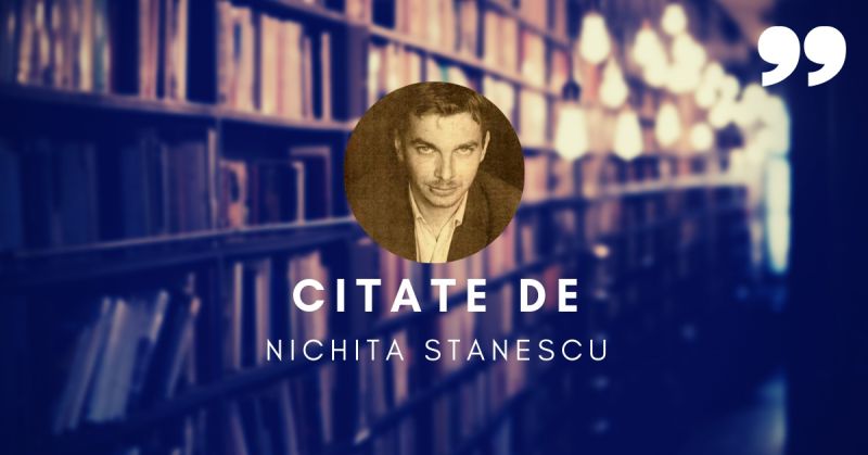 Citate de Nichita Stănescu