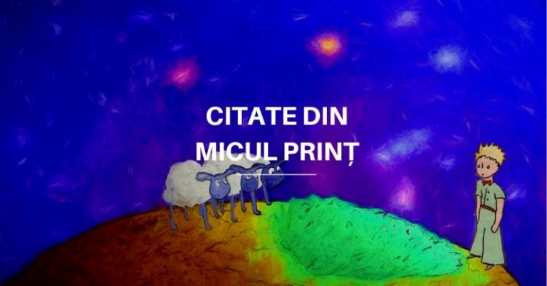 Citate din Micul Prinț