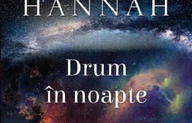 Recenzie „Drum în noapte” de Kristin Hannah