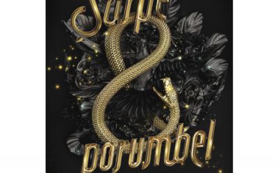 Recenzie ”Șarpe și porumbel” de Shelby Mahurin