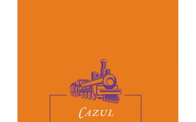 Recenzie „Cazul Magheru”, de Mihail Drumeș