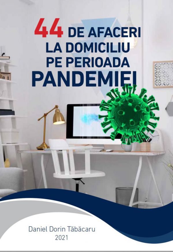 44 de Afaceri la Domiciliu in Pandemie