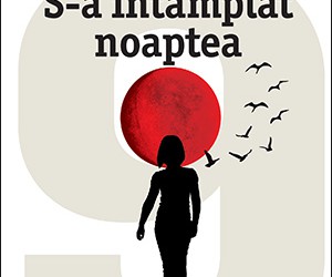 Recenzie „S-a întâmplat noaptea” de Marc Levy