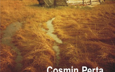Recenzie „Dispariția” de Cosmin Perța