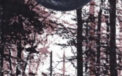Recenzie “Baltagul” de Mihail Sadoveanu