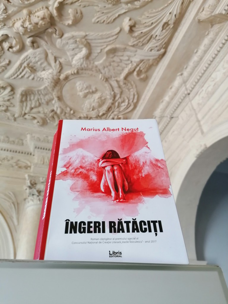 Recenzie „Îngeri rătăciți” de Marius Albert Neguț
