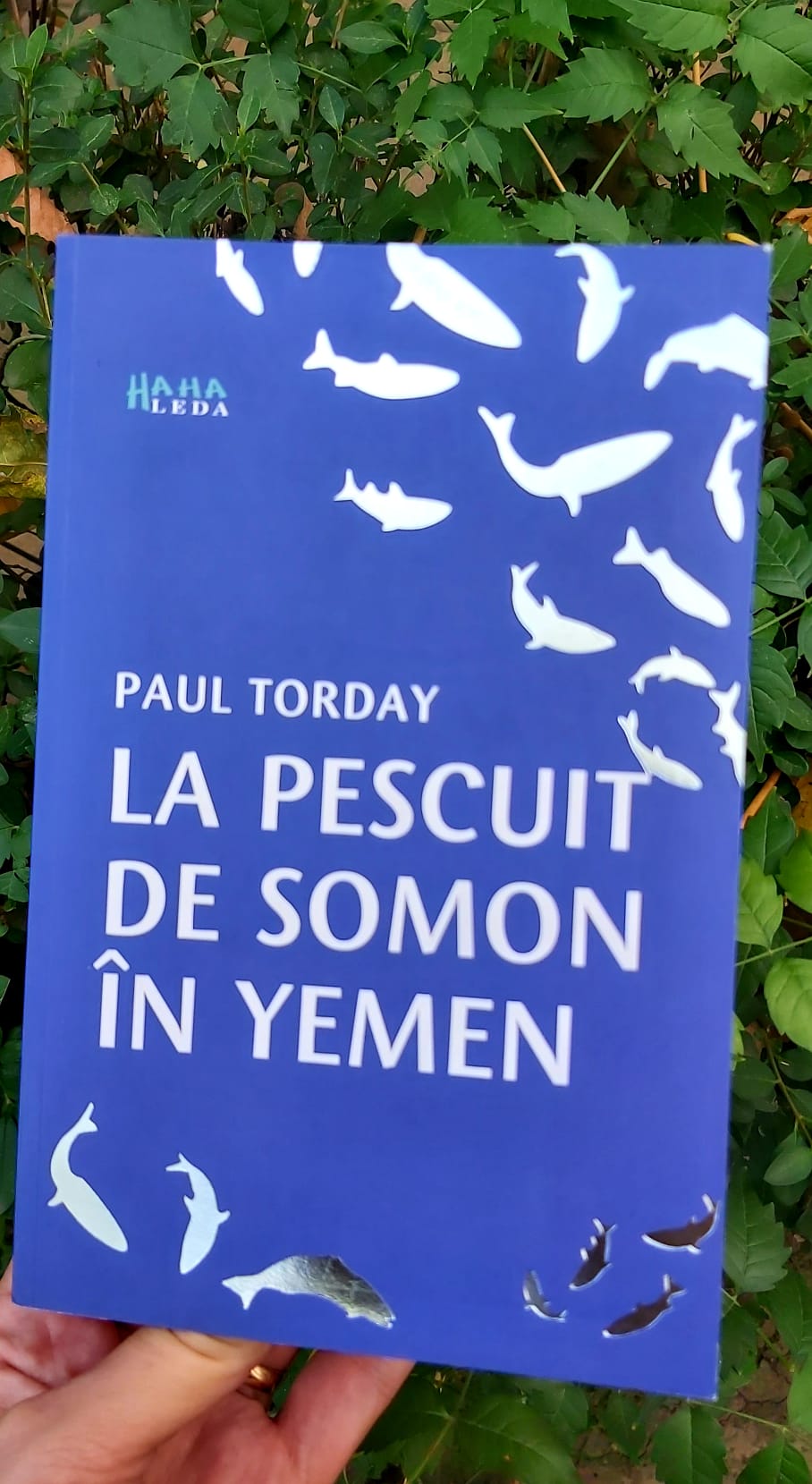 Recenzie “La pescuit de somon în Yemen” de Paul Torday