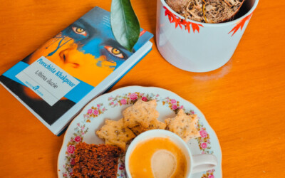 Recenzie ”Ultima iluzie” de Porochista Khakpour