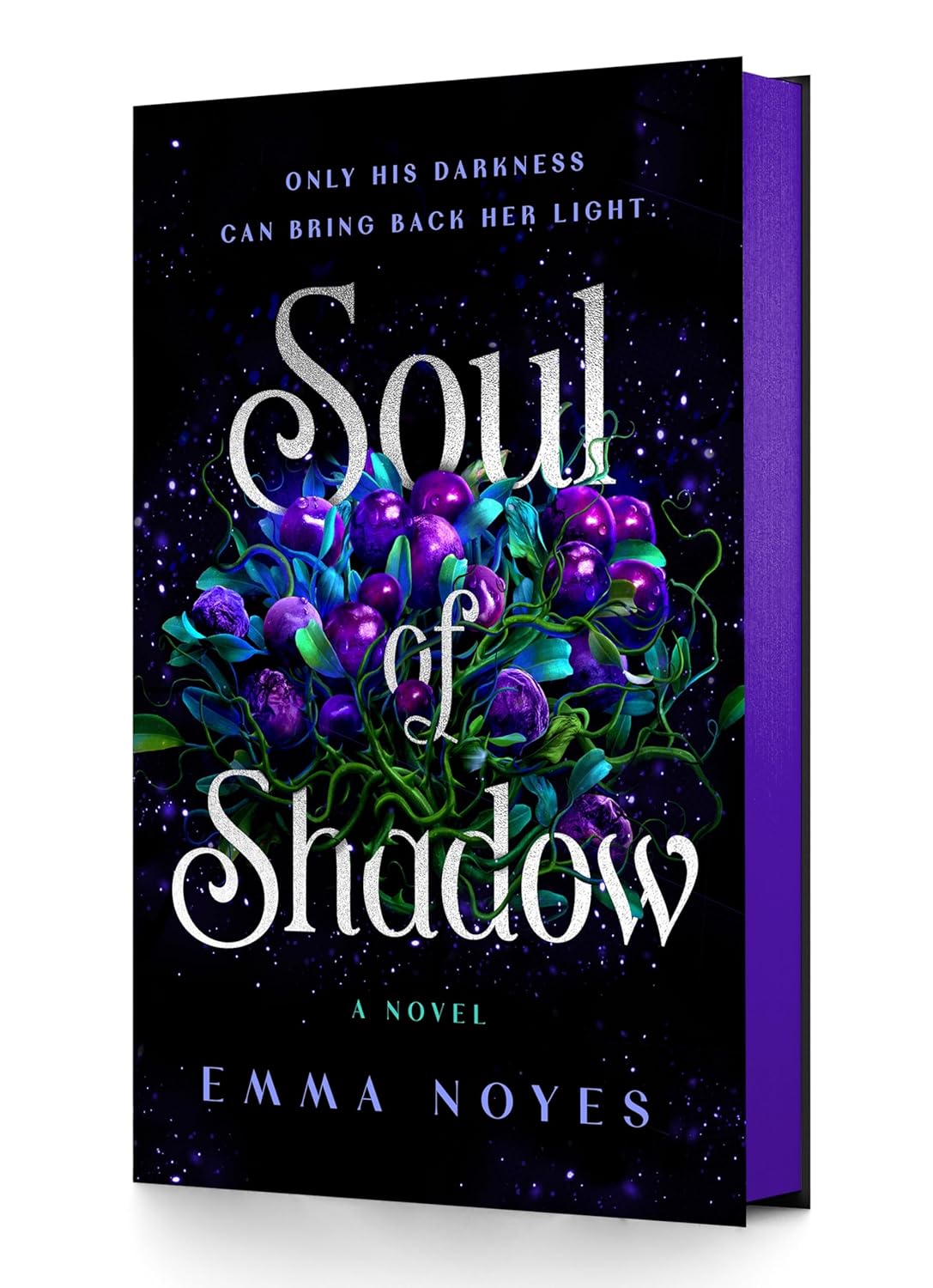 Recenzie "Soul of Shadow" de Emma Noyes
