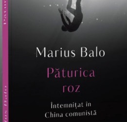 Recenzie “Păturica roz” de Marius Balo