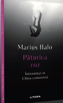 cartea Păturica roz