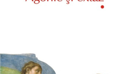 Recenzie ”Agonie și extaz vol. 1+2” de Irving Stone