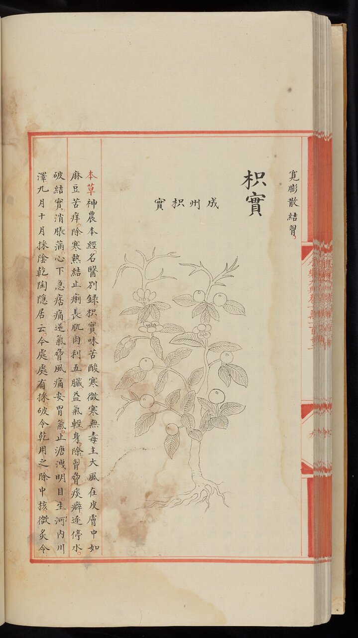 Două manuscrise rare ale enciclopediei „Yongle Dadian” revin în patrimoniul Chinei